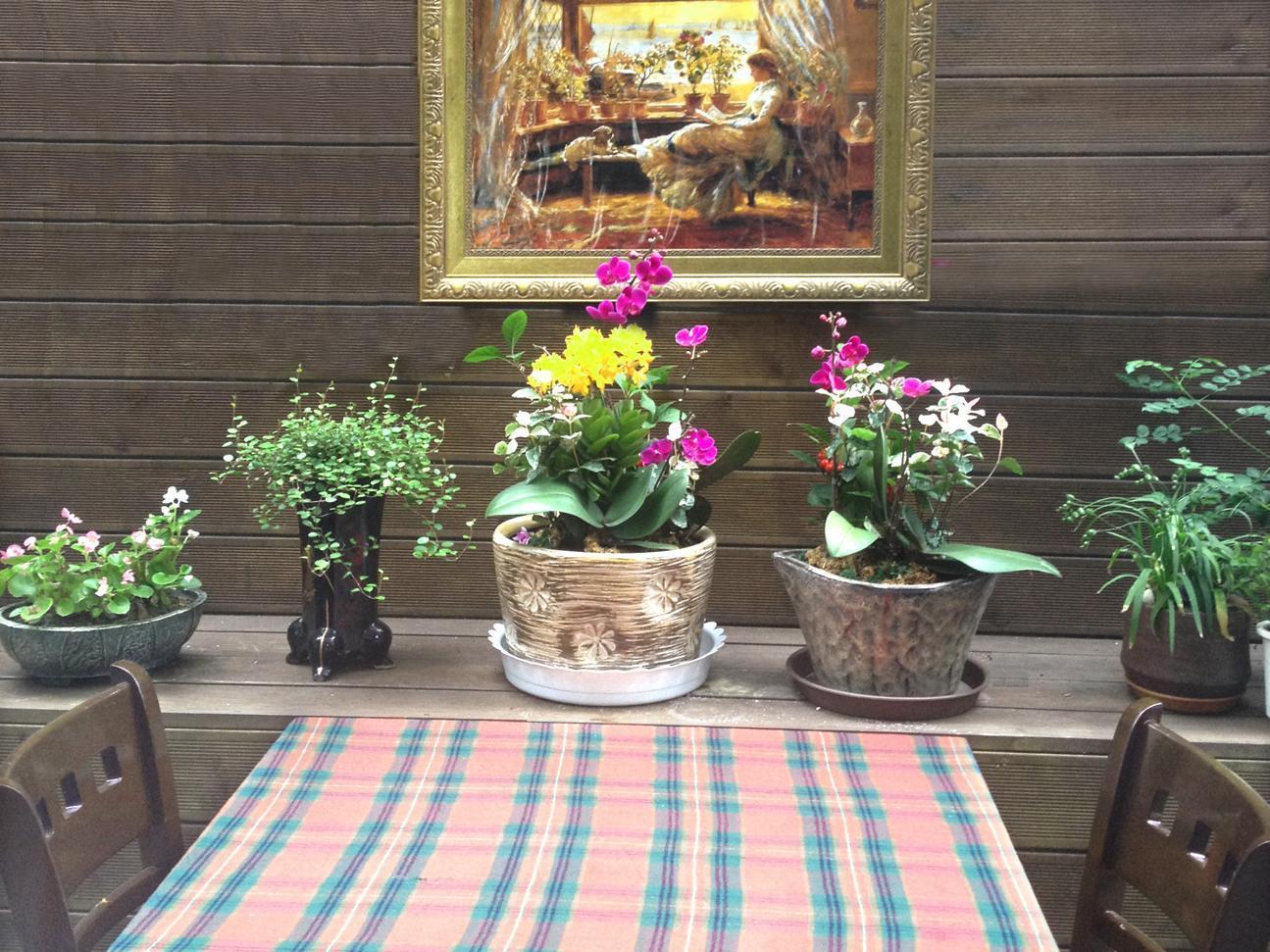 Petercat Hotel Insadong Seoul Ngoại thất bức ảnh