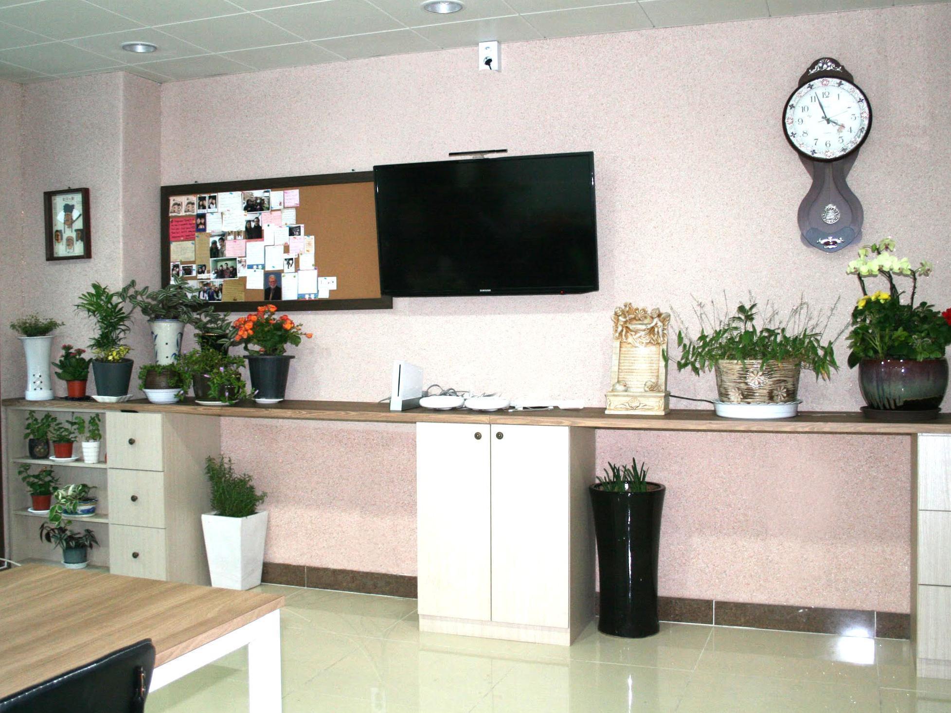 Petercat Hotel Insadong Seoul Ngoại thất bức ảnh